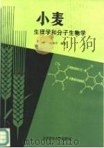 小麦生理学和分子生物学 1993 PDF电子版封面 7810025171 赵微平编著