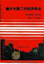 意大利第二次经济奇迹   1989  PDF电子版封面  7800090574  （意）朱塞佩·图拉尼著；黄永久，马景莲译 