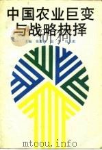 中国农业巨变与战略抉择（1993 PDF版）