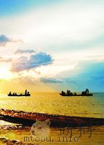 INTERNATIONAL CONFERENCE ON EARLY RESULTS OF FGGE AND LARGE-SCALE ASPECTS OF ITS MONSOON EXPERIMENTS PDF电子版封面