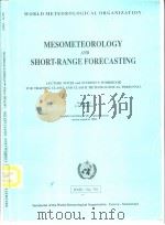 MESOMETEOROLOGY AND SHORT-RANGE FORECASTING（ PDF版）