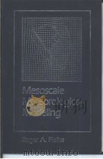 Mesoscale Meteorological Modeling（ PDF版）