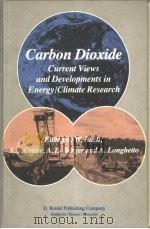 Carbon Dioxide Current Views and Developments in Energy/Climate Research（ PDF版）