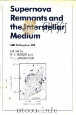 Supernova Remnants and the Interstellar Medium（ PDF版）