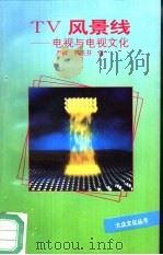 TV风景线 电视与电视文化（1993 PDF版）