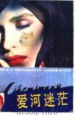 爱河迷茫（1988 PDF版）