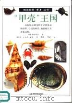 “甲壳”王国 图集 1992 PDF电子版封面 7810035649 阿雷克斯·阿瑟著;梁英志,王飞舟等译