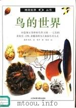 鸟的世界  图集（1992 PDF版）