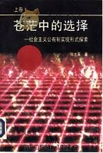 苍茫中的选择-社会主义公有制实现形式探索  上（1993 PDF版）