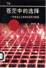 苍茫中的选择-社会主义公有制实现形式探索  下（1993 PDF版）