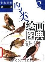 鸟类绘画图典  2（1999 PDF版）