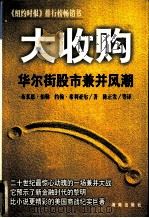大收购  华尔街股市兼并风潮（1997 PDF版）