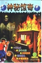大宇神秘惊奇系列  第2辑（1999 PDF版）
