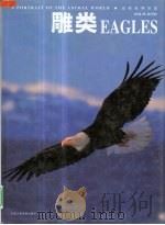雕类（1998 PDF版）