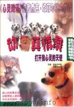 动物真情录  打开我心灵的天使（1999 PDF版）