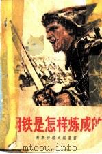 钢铁是怎样炼成的（1976 PDF版）