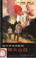 勇探火山口（1990 PDF版）