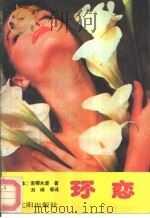 环恋（1988 PDF版）