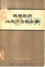 环绕欧洲共同市场的斗争（1962 PDF版）
