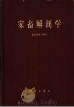 家畜解剖学（1962 PDF版）