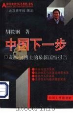 中国下一步  胡鞍钢博士的最新国情报告（1995 PDF版）