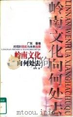 岭南文化向何处去  广东、香港的现时危机与未来选择   1997  PDF电子版封面  7805217645  郑刚著 