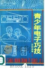 青少年电子巧技（1988 PDF版）