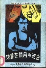 球星在情网中死去（1988 PDF版）