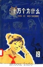 十万个为什么 19 1976 PDF电子版封面 R13171·168 本社编