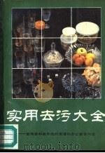 实用去污大全  最简单和最有效的家庭及办公室去污法（1990 PDF版）