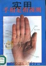 实用手相足相预测（1993 PDF版）