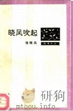 晓风吹起（1992 PDF版）