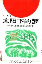 太阳下的梦  一个记者的采访思索（1992 PDF版）