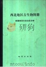 西北地区古生物图册  新疆维吾尔自治区分册  1  晚元古代-早古生代部分（1981 PDF版）