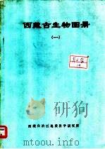 西藏古生物图册  1（ PDF版）