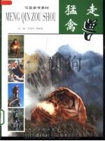 猛禽走兽（1999 PDF版）