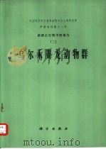 新疆古生物考察报告 2 乌尔禾龙动物群 1973 PDF电子版封面 13031·122 董枝明等著