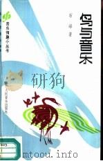 鸟与音乐 1993 PDF电子版封面 7103011001 石峰著