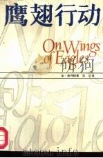 鹰翅行动（1985 PDF版）