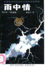 雨中情（1991 PDF版）