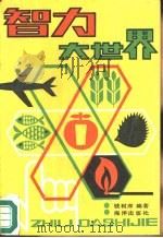 智力大世界（1989 PDF版）