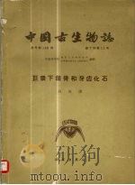 中国古生物志  总号第146册  新丁种第11号  巨猿下颌骨和牙齿化石（1962 PDF版）
