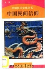 中国民间信仰 1990 PDF电子版封面 7533007023 金泽著
