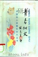 青春似火（1994 PDF版）
