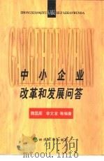 中小企业改革和发展问答（1999 PDF版）