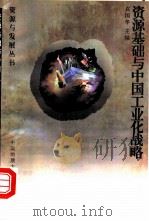 资源基础与中国工业化战略（1999 PDF版）