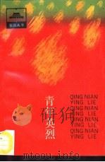 青年英烈  第二次国内革命战争时期青年烈士传（1991 PDF版）