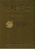 敦煌宝藏  第5册  斯591-714号（ PDF版）