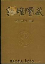 敦煌宝藏 第45册 斯6052-6390号 PDF电子版封面 9571702919 黄永武博士主编
