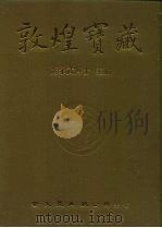 敦煌宝藏 第59册 北416-544号 1983 PDF电子版封面 9571702919 黄永武博士